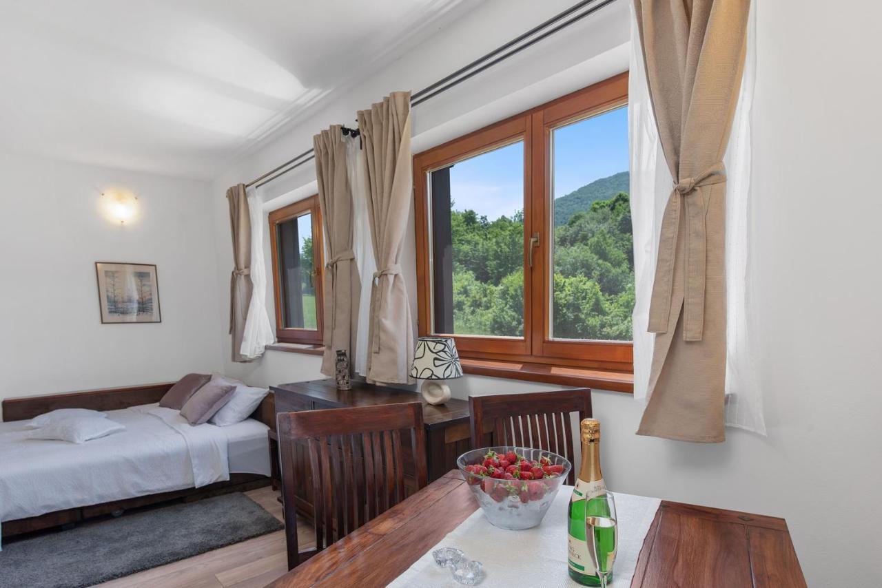 B&B Plitvice Lakes Villa Irene Seliste Dreznicko Dış mekan fotoğraf