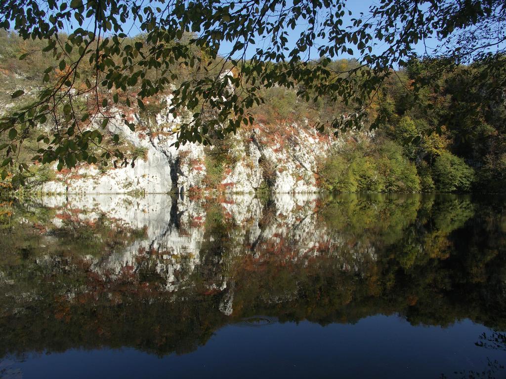 B&B Plitvice Lakes Villa Irene Seliste Dreznicko Dış mekan fotoğraf